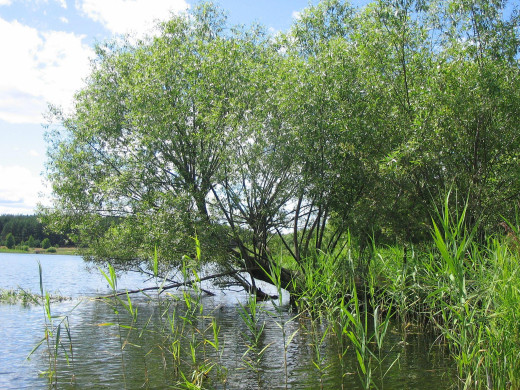 48917 (a): :2048x1536